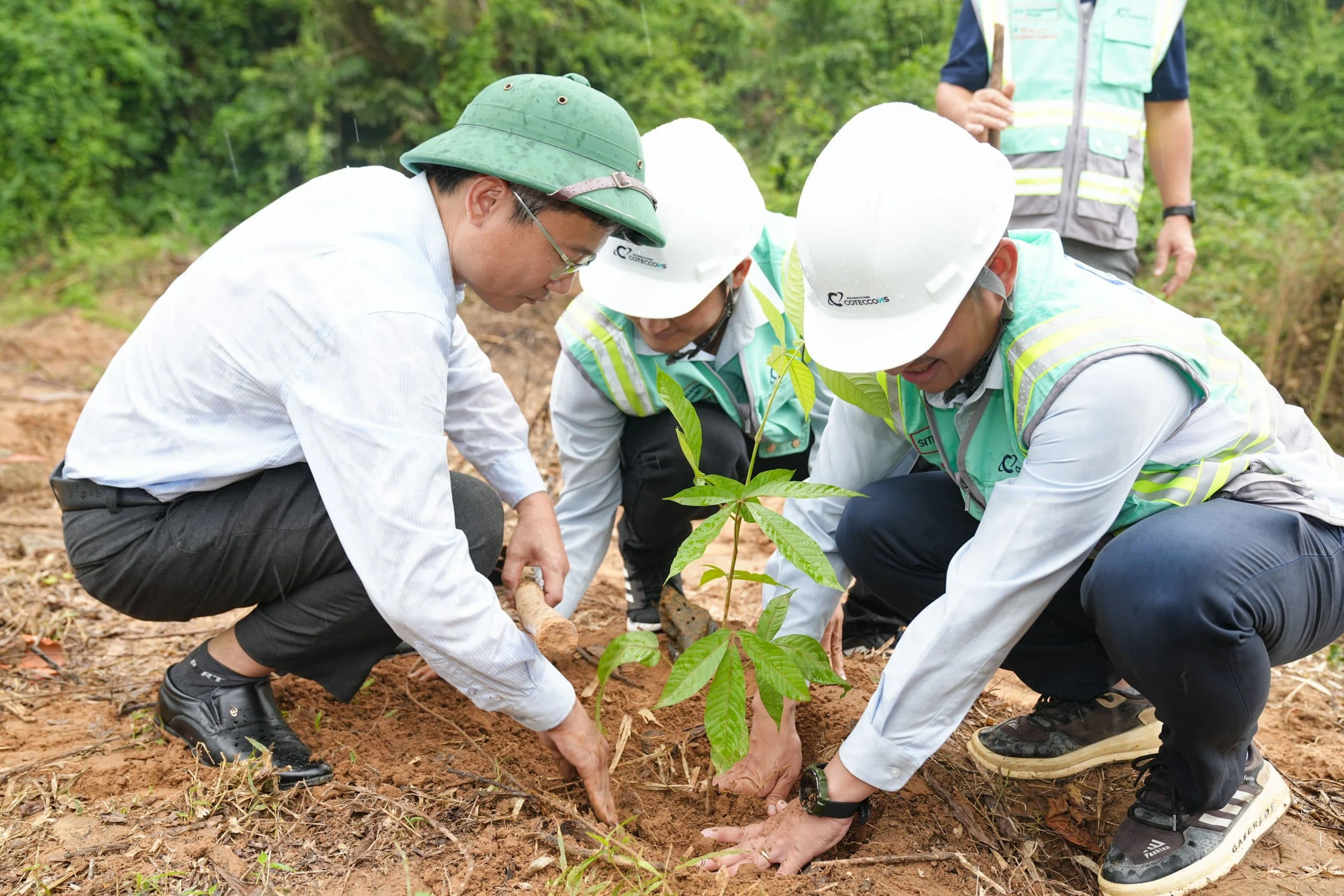 COTECCONS CONTINUES TO BE HONORED IN THE TOP 20 COMPANIES WITH THE BEST SUSTAINABLE DEVELOPMENT INDEX